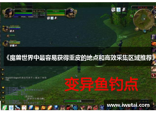 《魔兽世界中最容易获得重皮的地点和高效采集区域推荐》