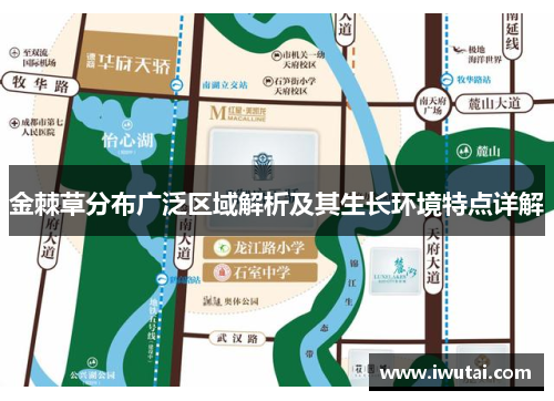 金棘草分布广泛区域解析及其生长环境特点详解