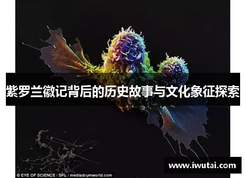 紫罗兰徽记背后的历史故事与文化象征探索