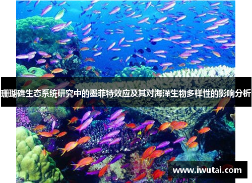 珊瑚礁生态系统研究中的墨菲特效应及其对海洋生物多样性的影响分析